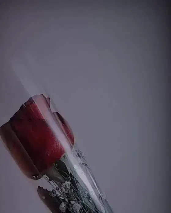 ضامن  رسمی|خدمات مالی، حسابداری، بیمه|خرم‌آباد, |دیوار