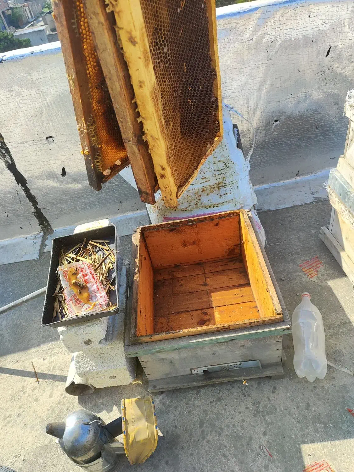 کندو خالی،طبق،دبه،جاخوراکی|لوازم جانبی حیوانات|رامیان, |دیوار