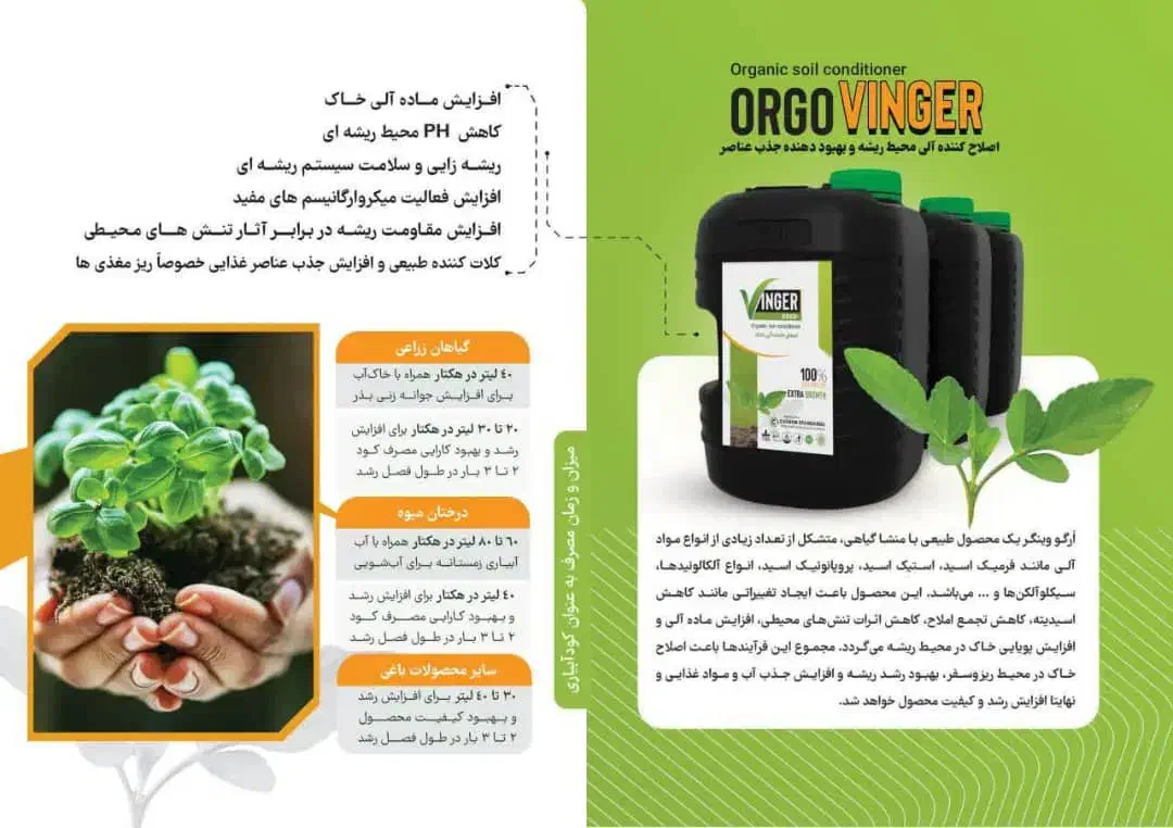 خرید گل زعفران|خدمات باغبانی و درختکاری|مبارکه, |دیوار