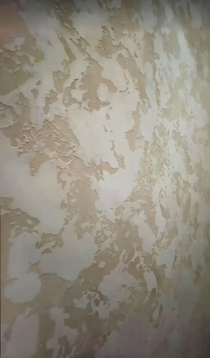 اجرای میکروسمنت|خدمات پیشه و مهارت|بندرعباس, |دیوار