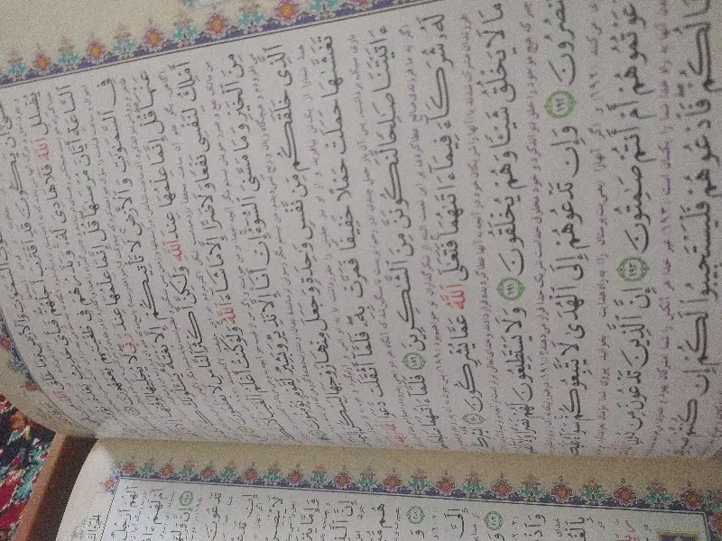قرآن|کتاب و مجله مذهبی|تهران, طیب|دیوار