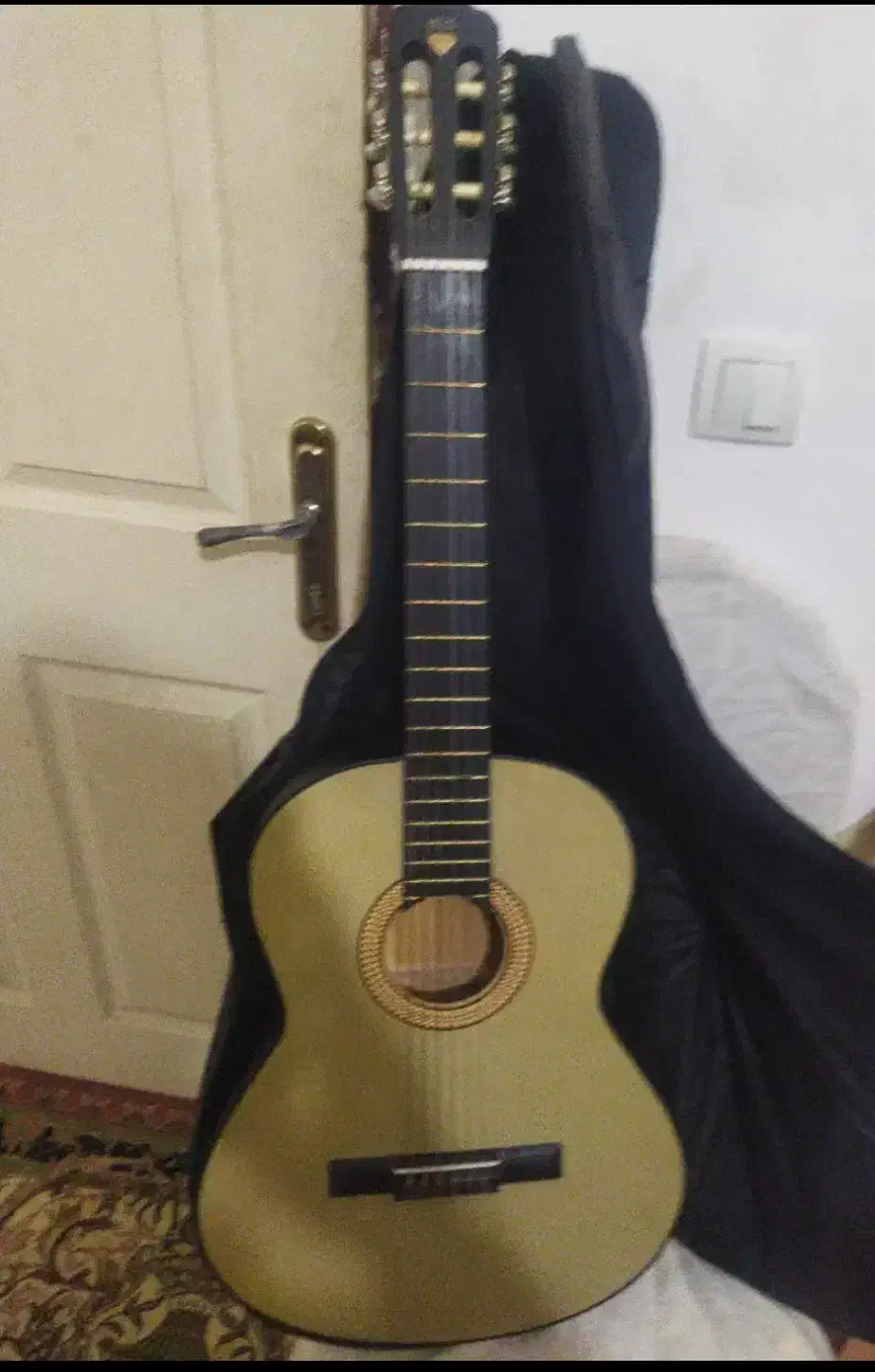 گیتار دایمند همراه با کیف و کتاب آموزشی|گیتار، بیس، امپلیفایر|خوی, |دیوار