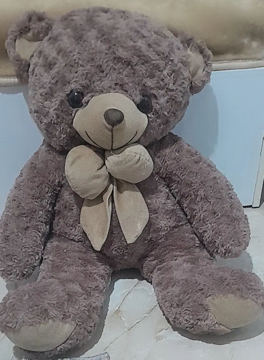 عروسک خرس|اسباببازی|رشت, رشتیان|دیوار