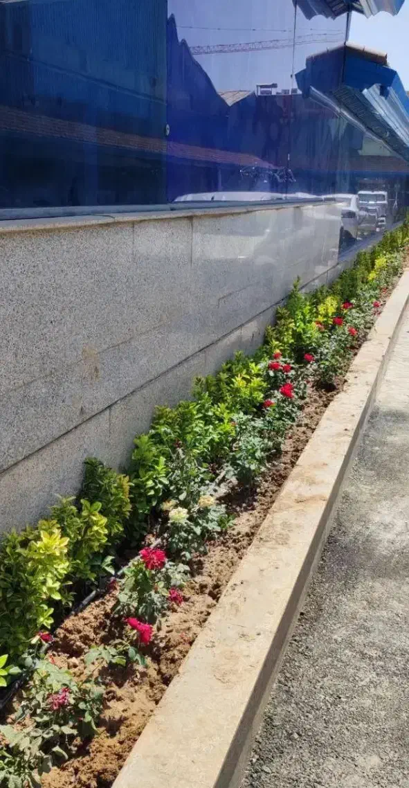 خدمات باغبانی باغچه کاری گل کاری تعویض خاک گلدان|خدمات باغبانی و درختکاری|اسلام‌شهر, شهرک احمدیه|دیوار