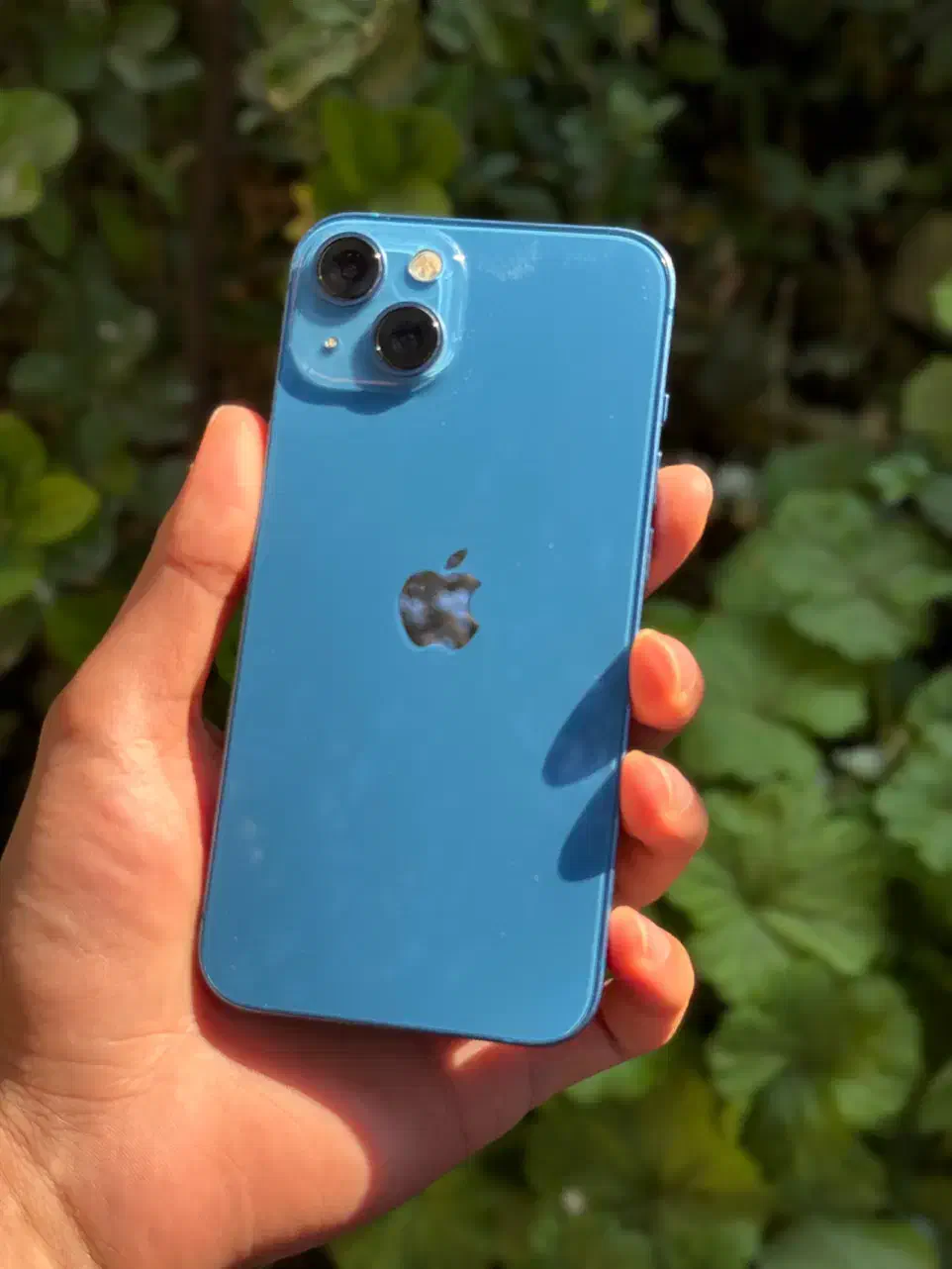 iphone 13|موبایل|نکا, |دیوار