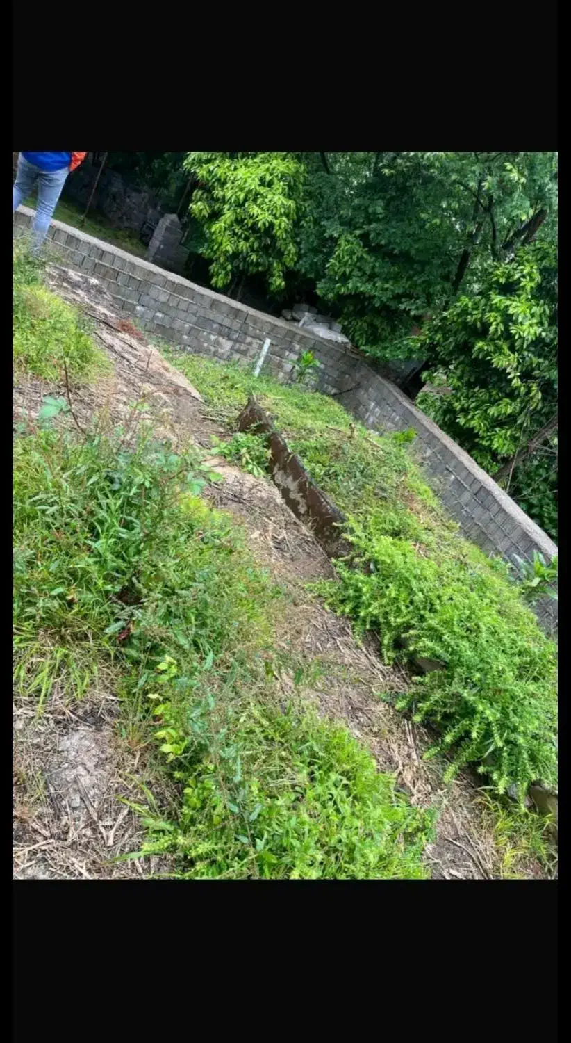 زمین مسکونی/با پروانه ساخت/ویو ابدی|فروش زمین و ملک کلنگی|لاهیجان, آهندان|دیوار