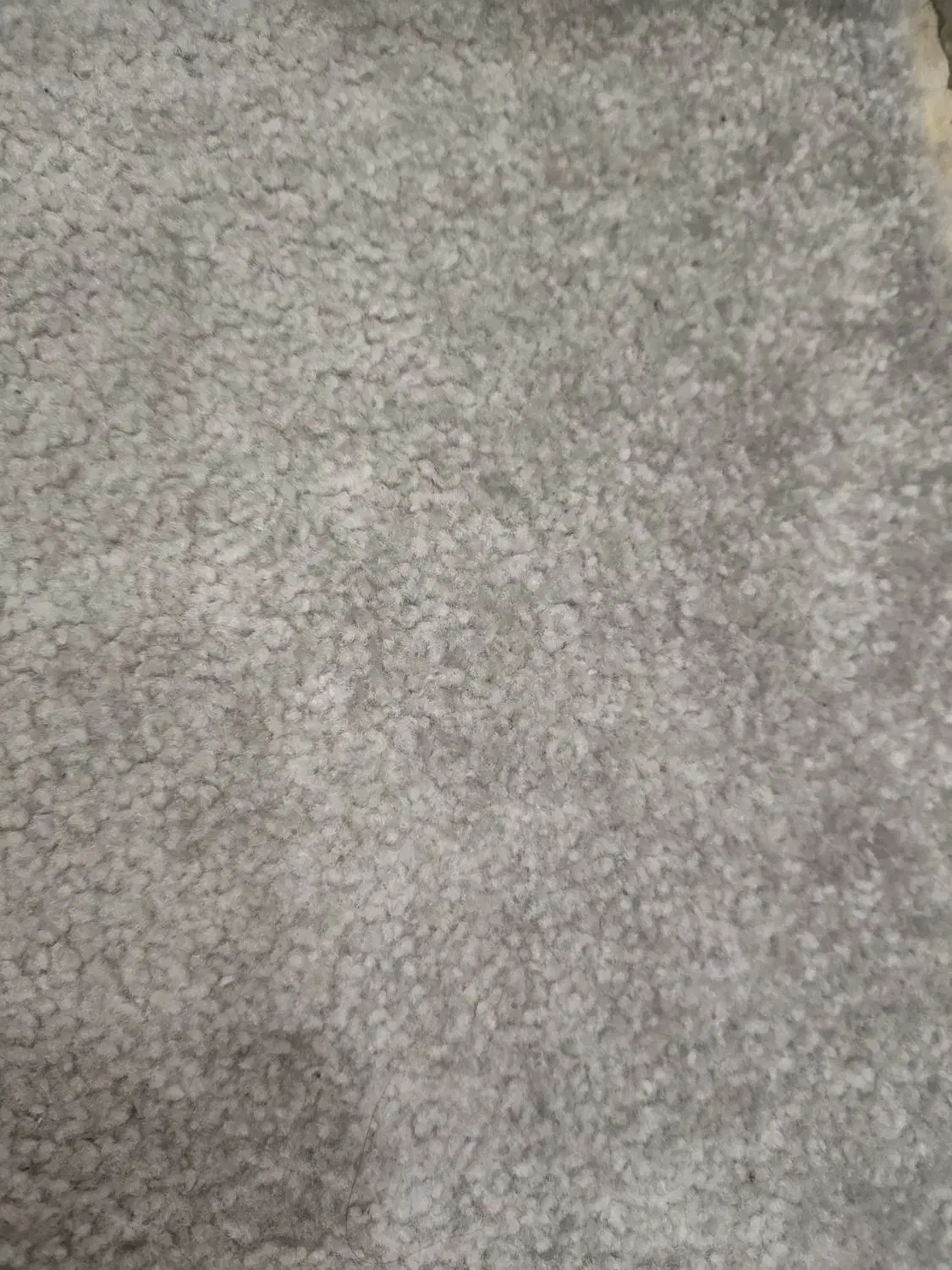 هفتاد متر پالاز موکت رنگ روشن|موکت|کارون, |دیوار