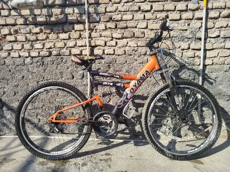 دوچرخه|دوچرخه، اسکیت، اسکوتر|مزرعه کتول, |دیوار