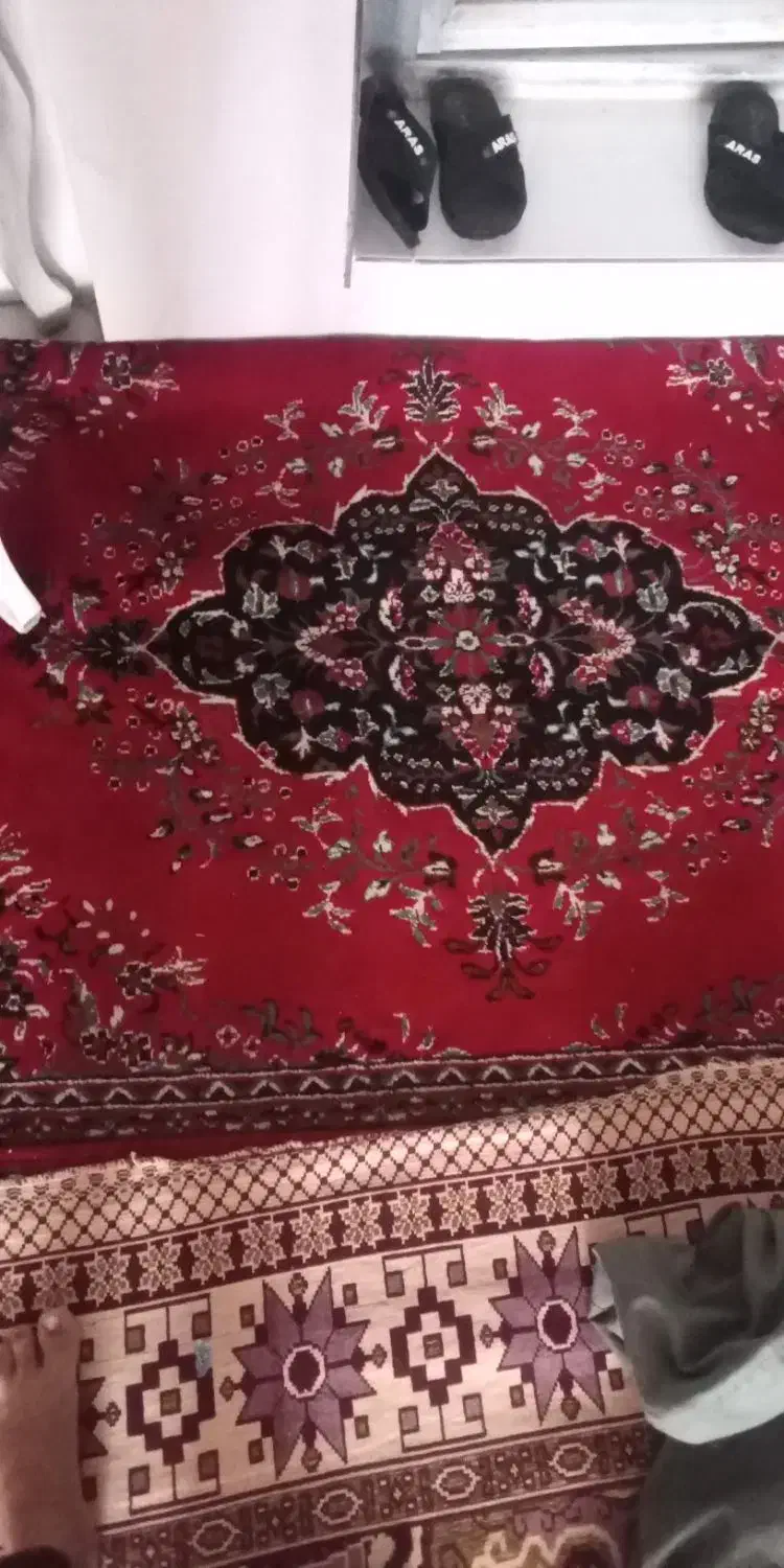 کناره قالی|فرش|تربت‌حیدریه, فتح المبین|دیوار