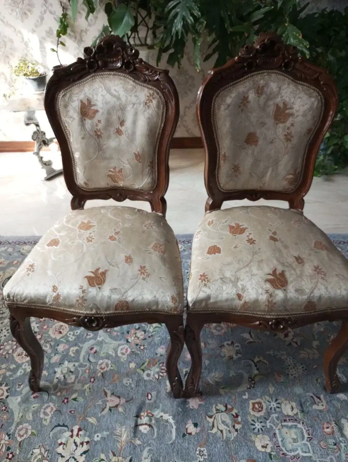 فروش صندلی ناهارخوری|میز و صندلی غذاخوری|فولادشهر, A3|دیوار