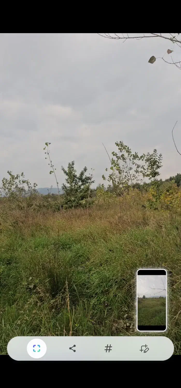 7700 متر زمین باغی مناسب گلخانه رودسر شکرپس|فروش زمین و ملک کلنگی|املش, |دیوار