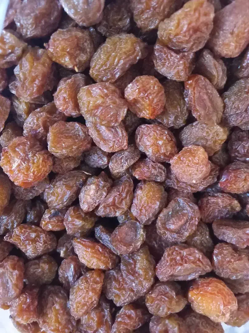 آلو بخارا|خوردنی و آشامیدنی|شیراز, عادل آباد|دیوار