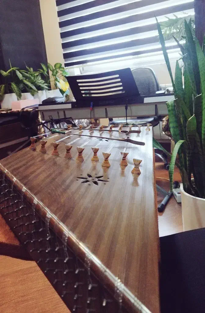 آموزش سنتور در خانه شما (ارزانتر از آموزشگاه)|خدمات آموزشی|رشت, گلسار|دیوار