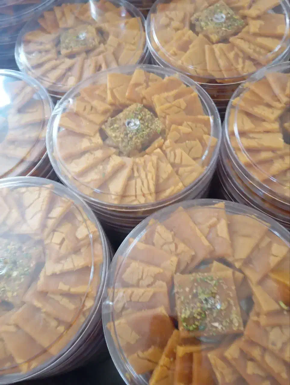 ابنباتی ترد|حراج|قم, دورشهر|دیوار