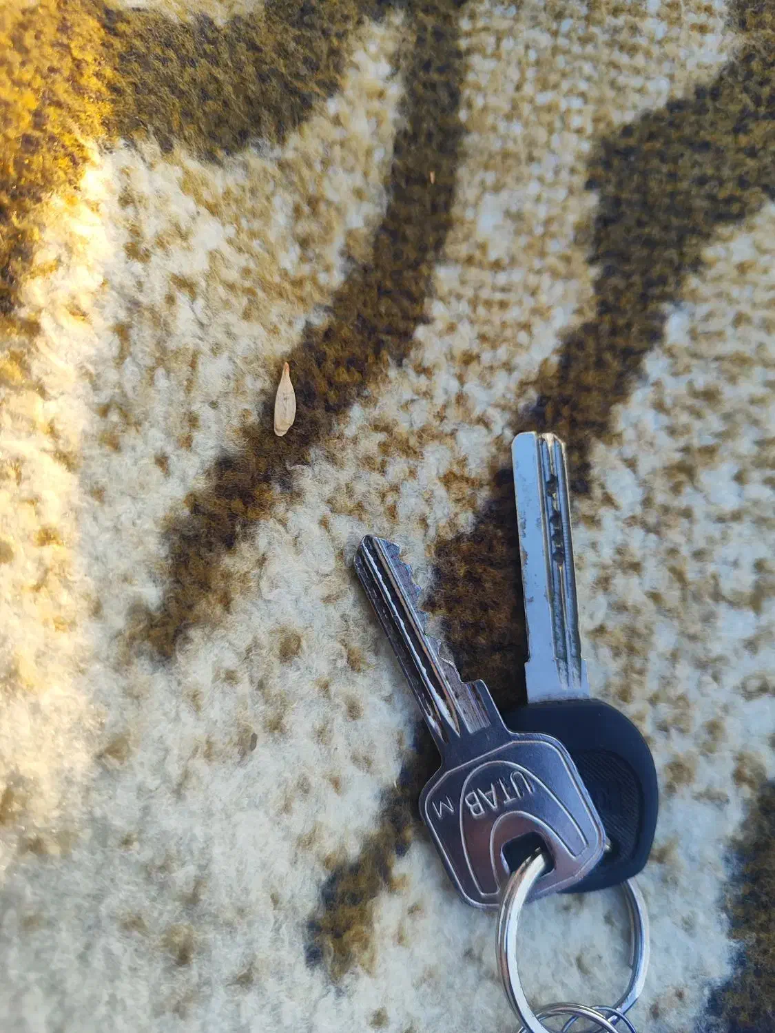 دسته کلید|اشیا|محمدیه-قزوین, |دیوار