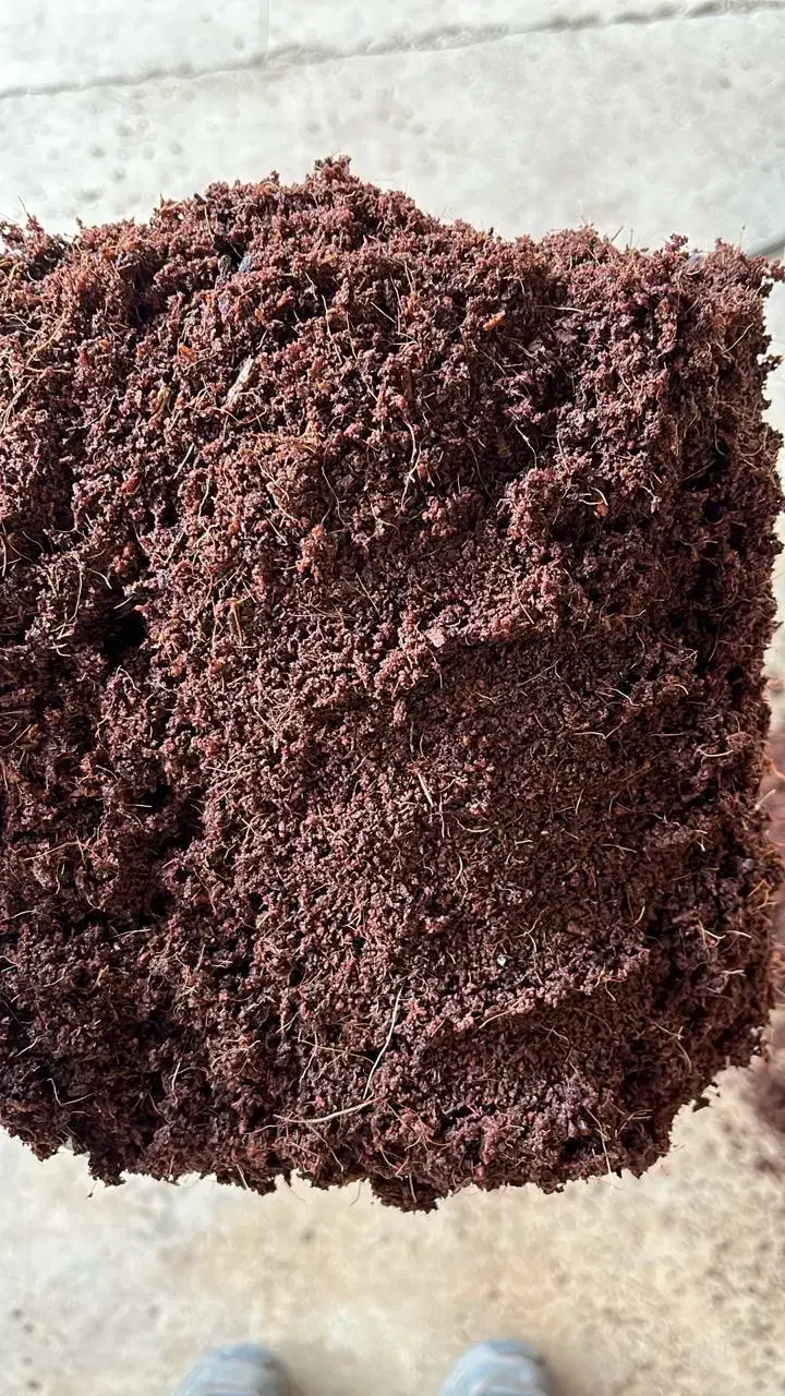 کوکوپیت هندی|گل و گیاه طبیعی|تهران, ائمه اطهار|دیوار