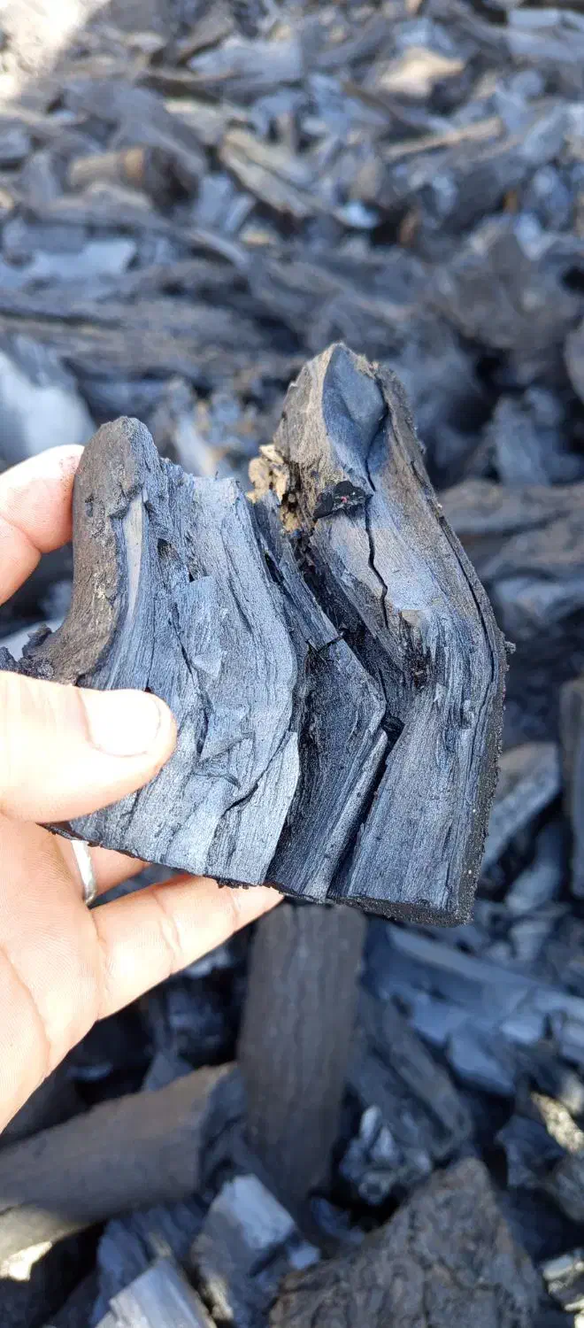 زغال کبابی با گارانتی کتبی|عمده‌فروشی|شوشتر, |دیوار