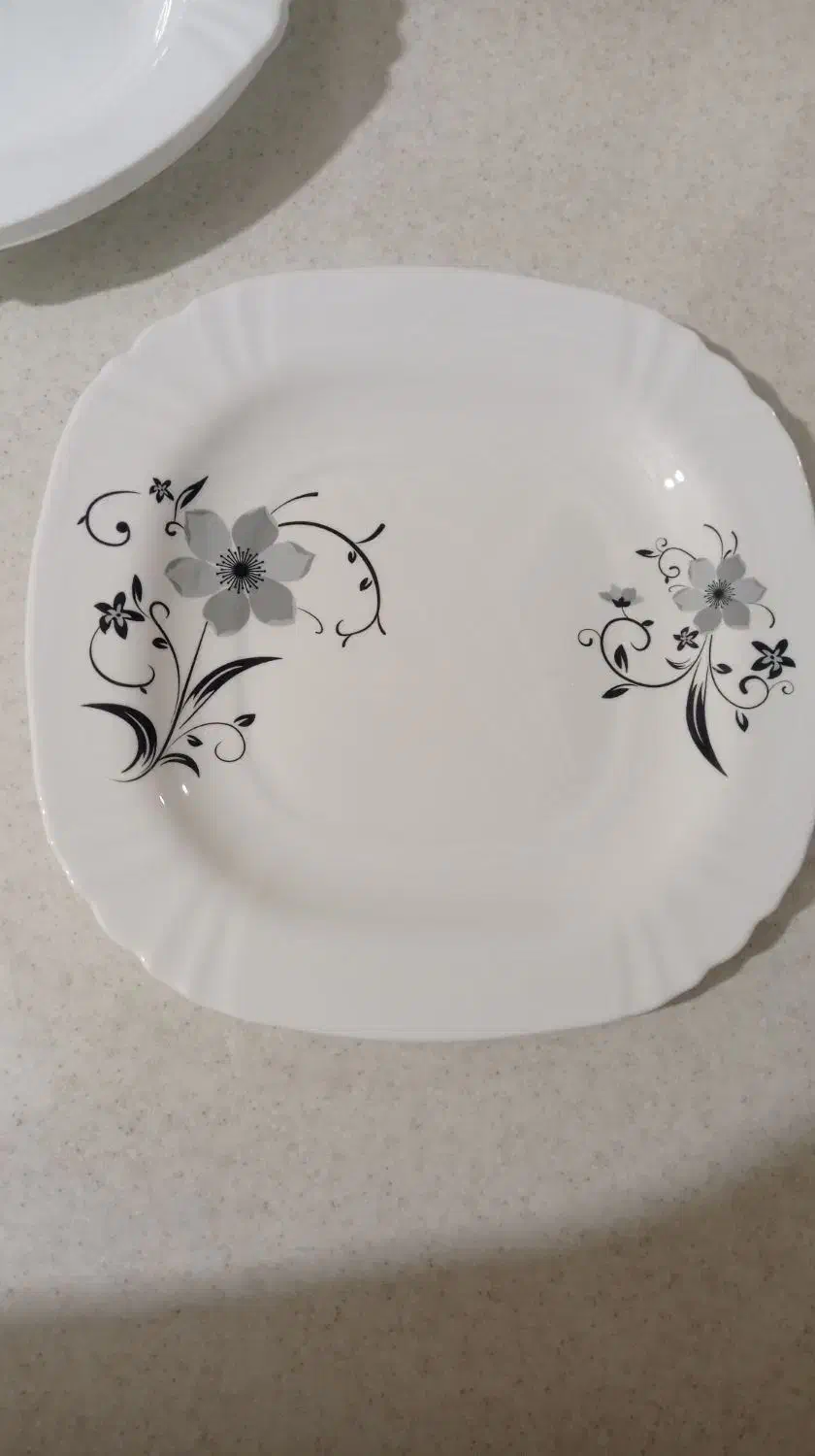 آرکوپال 12 نفره هامز آلمان|ظروف سرو و پذیرایی|بهارستان, |دیوار