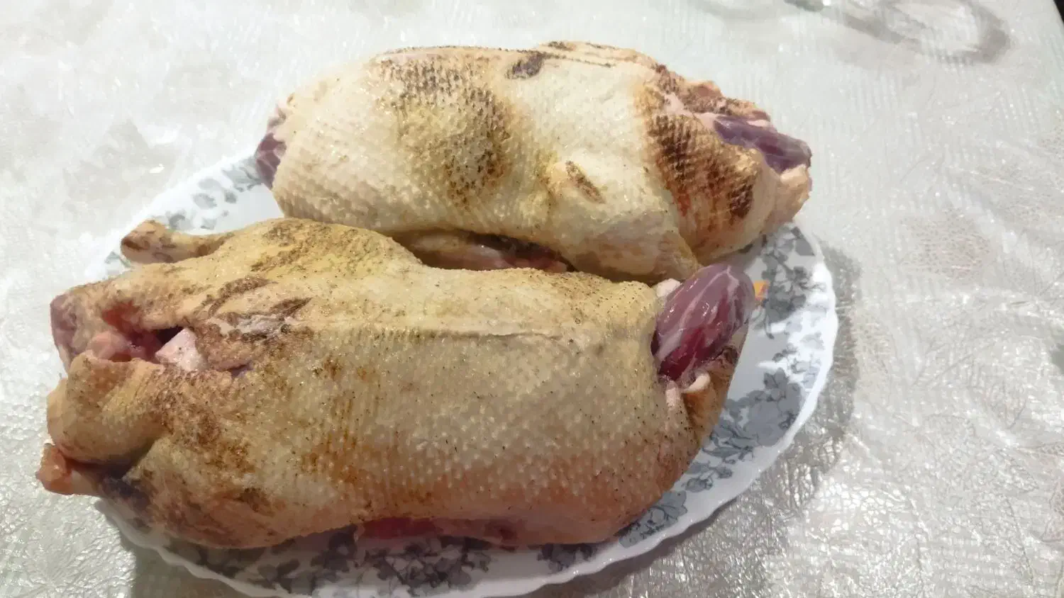 فروش اردک محلی تازه پاک شده تمیز  قیمت ۴۵۰ تومان|خوردنی و آشامیدنی|رشت, سلیمانداراب|دیوار