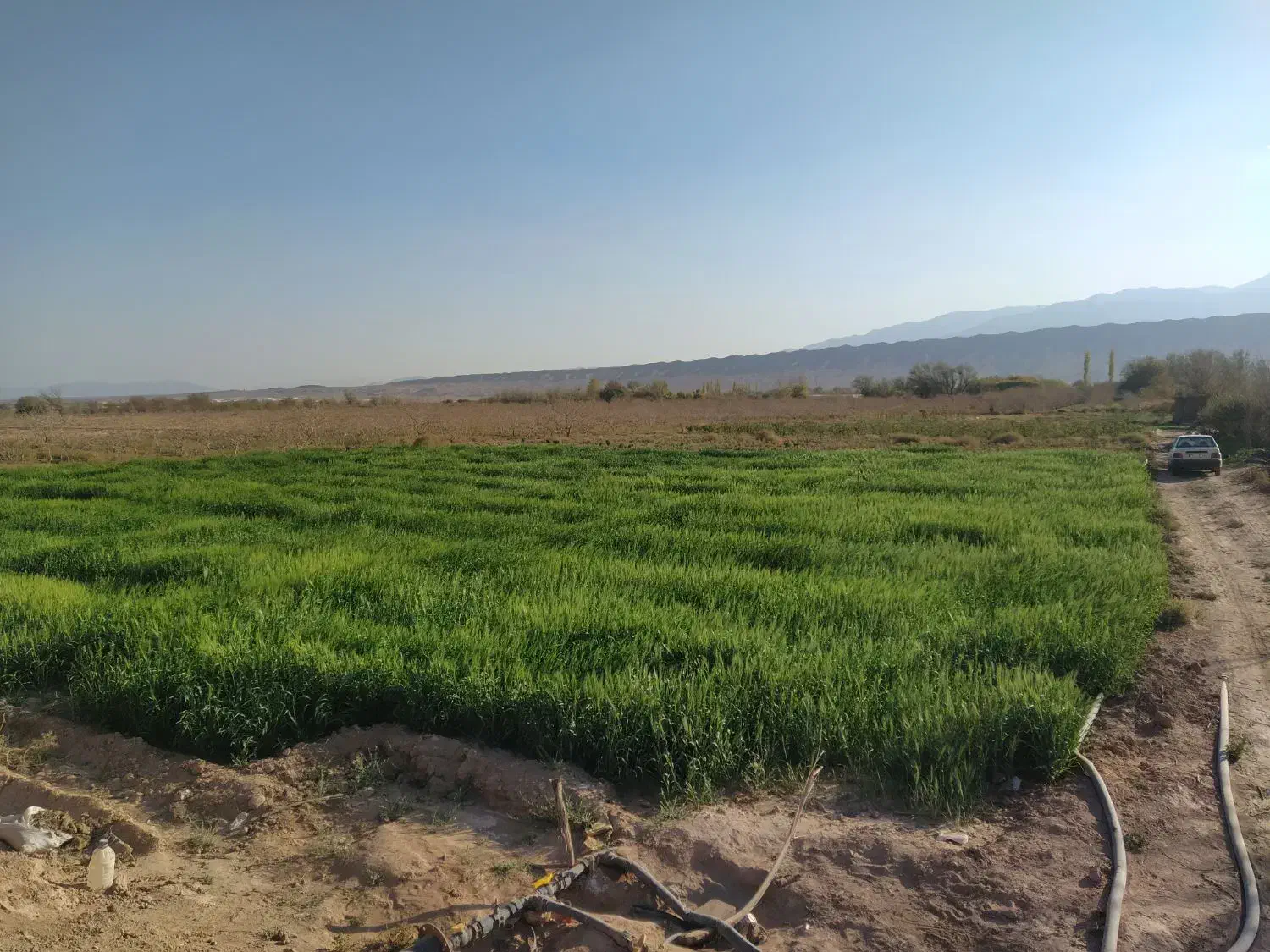 فروش زمین کشاورزی در راین روستای ده ملک|فروش زمین و ملک کلنگی|راین, |دیوار