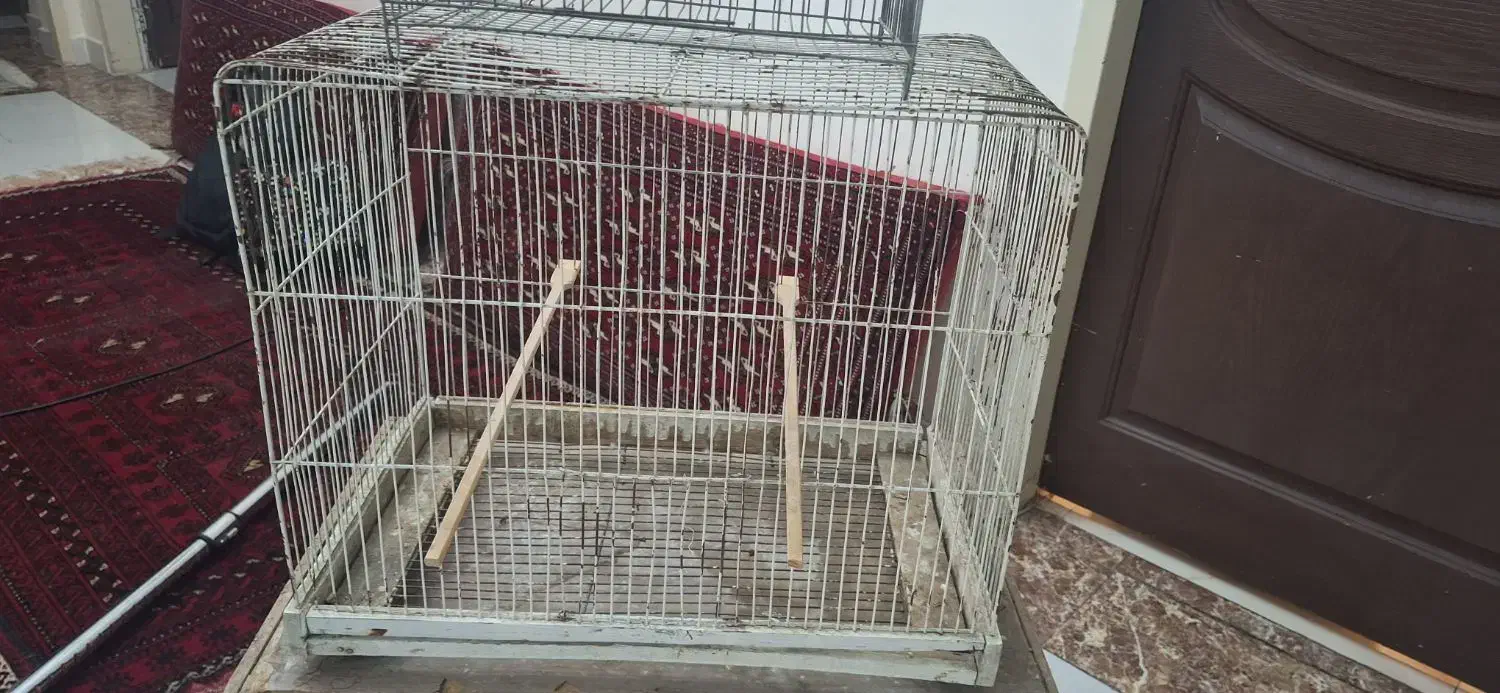 قفس و توری مرغی|لوازم جانبی حیوانات|تهران, شهرک شهید رجایی (کوی نوبنیاد)|دیوار