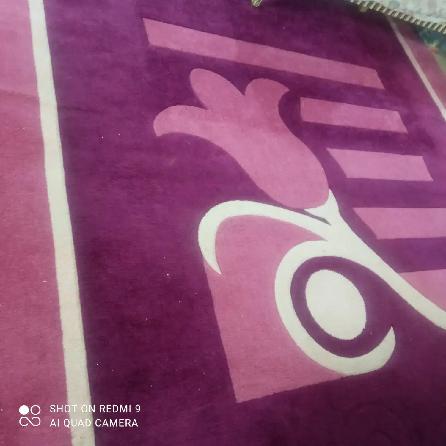 فرش ۱۲ متری|فرش|شاهین‌شهر, فردوسی|دیوار