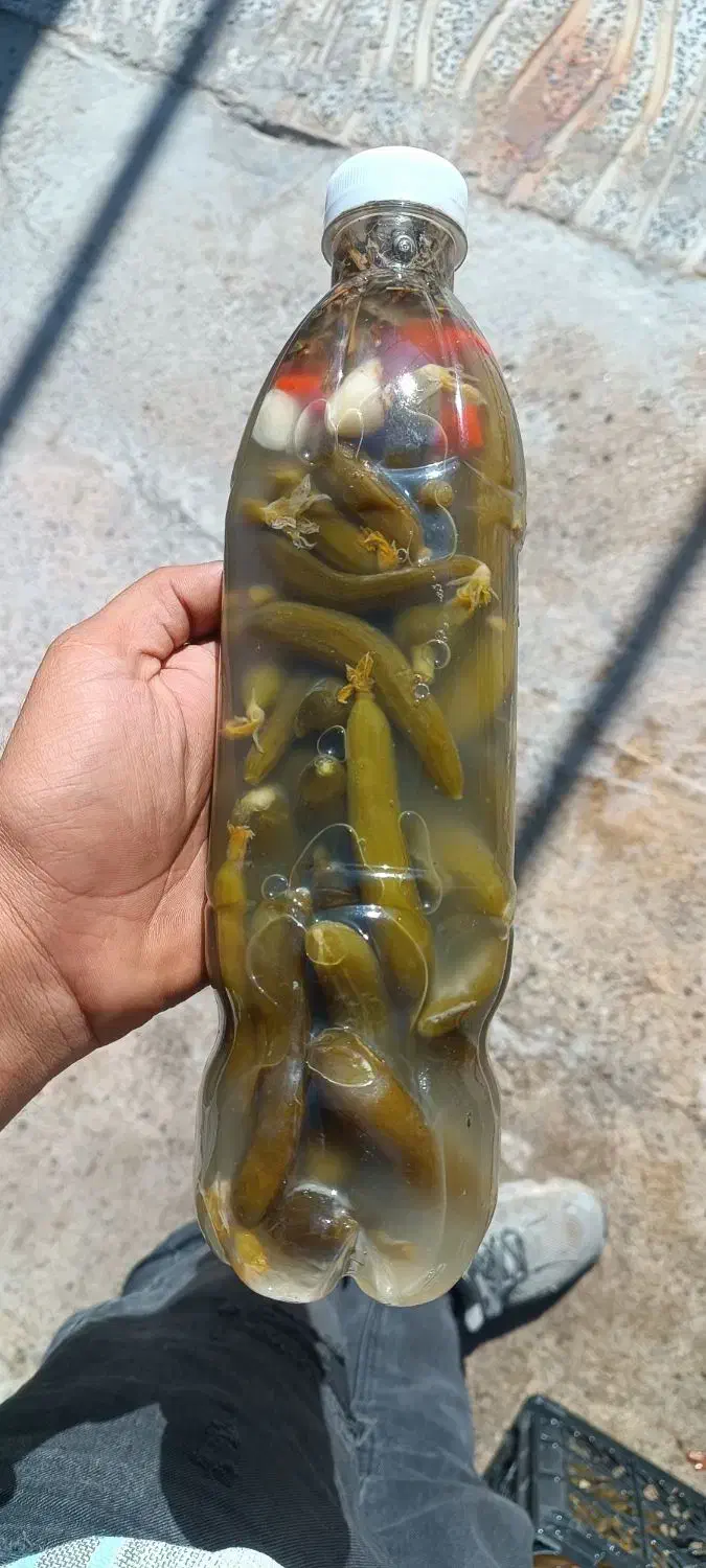 خیارشور درجه ۱|خوردنی و آشامیدنی|اشترینان, |دیوار