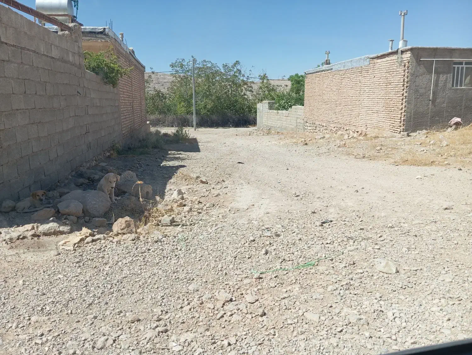 زمین ۴۵۰ متری واقع در سیدان آسیا کرشکی|فروش زمین و ملک کلنگی|سیدان, |دیوار