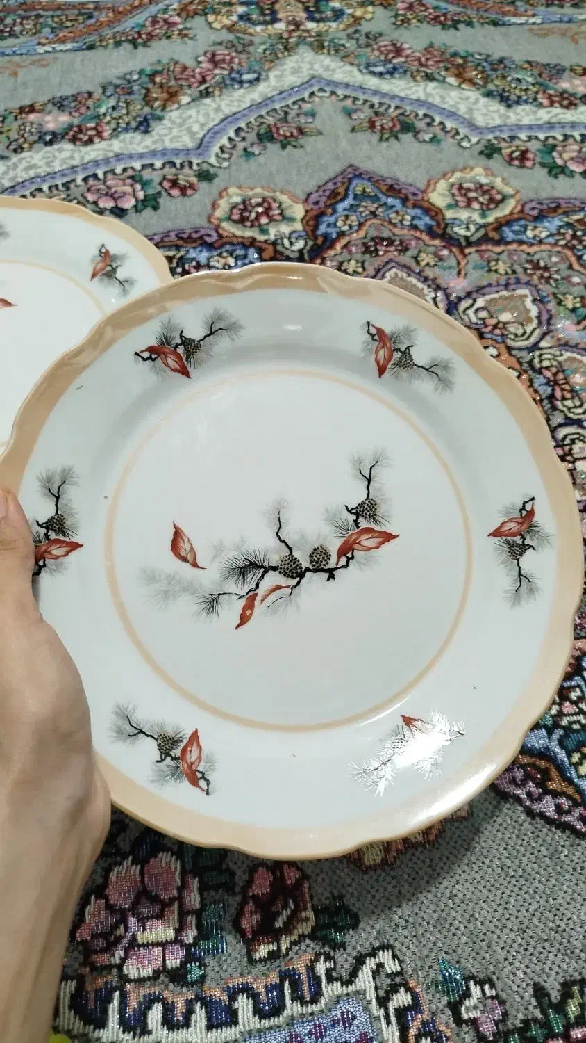 چینی 12 نفره|ظروف سرو و پذیرایی|ثلاث باباجانی, |دیوار