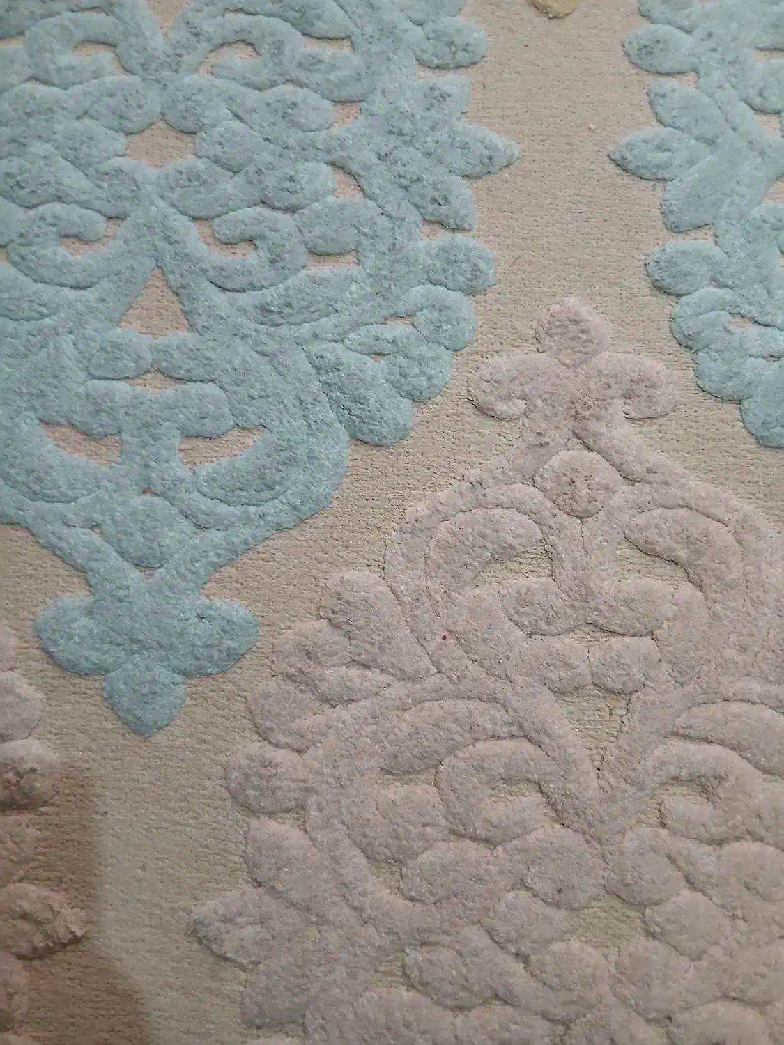 فرش|فرش|بابلسر, |دیوار