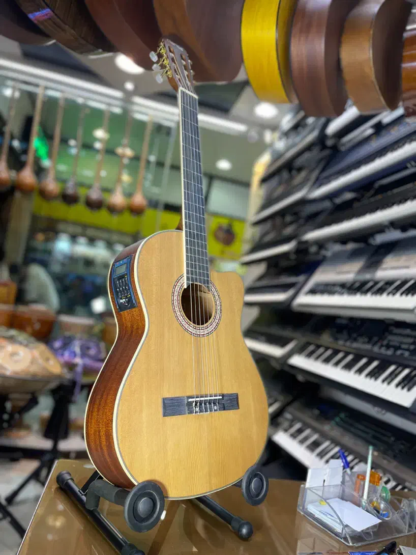 گیتار کلاریس پیکابخور کاتوی|گیتار، بیس، امپلیفایر|تهران, افسریه شمالی|دیوار