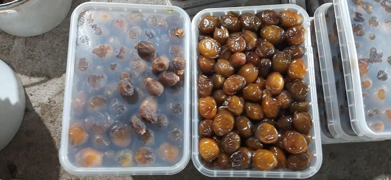 رطب خاصویی، خرمای خاصویی، خرما آجیلی خاصویی|خوردنی و آشامیدنی|تهران, دانشگاه شریف|دیوار