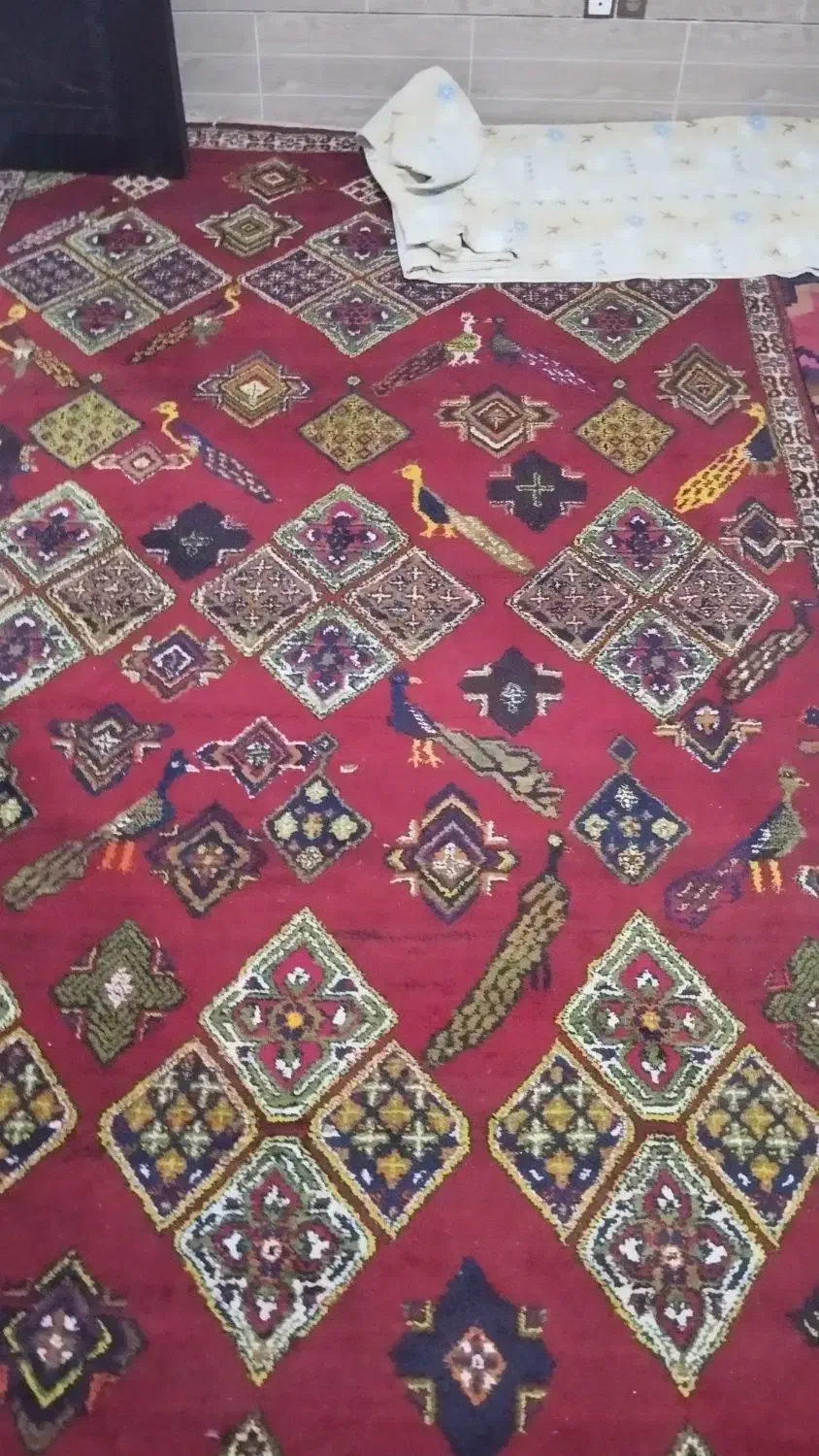 قالی دستباف تمام پشم با بهترین کیفیت|فرش|جیرفت, |دیوار