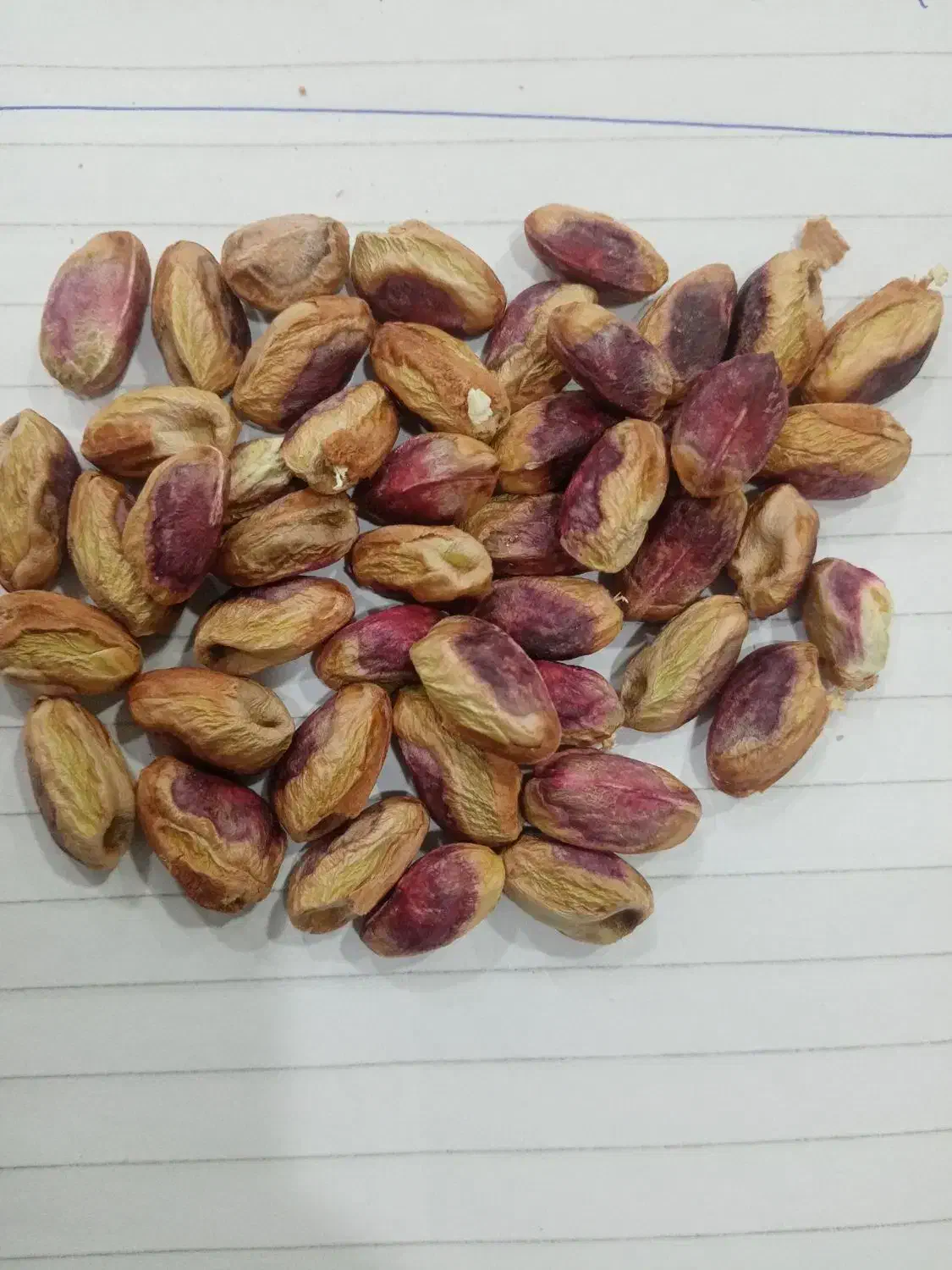 مغز پسته|خوردنی و آشامیدنی|بردسکن, |دیوار