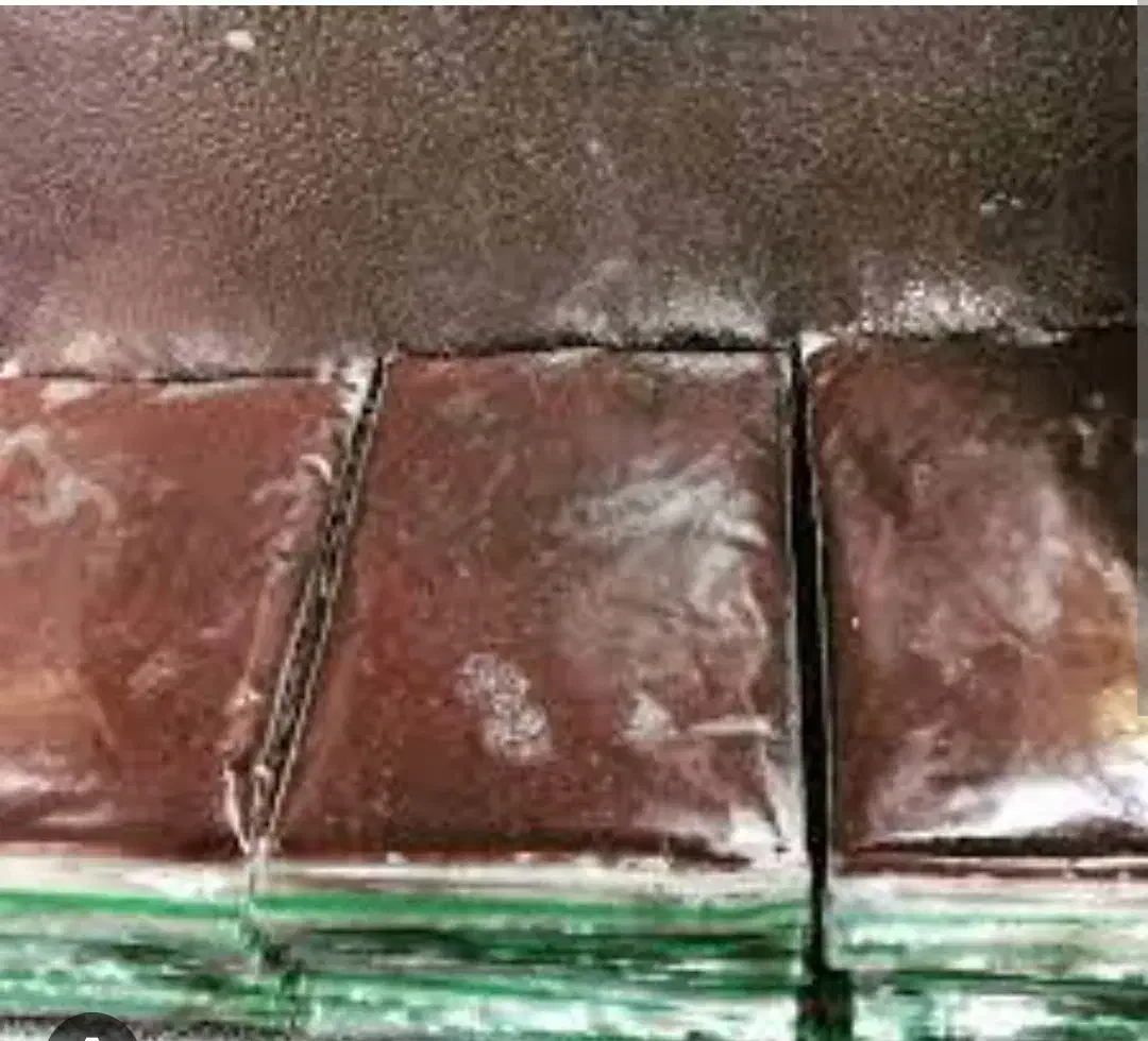 میکس دل غذای ماهی دیسکس|ماهی|تهران, مهرآباد جنوبی|دیوار