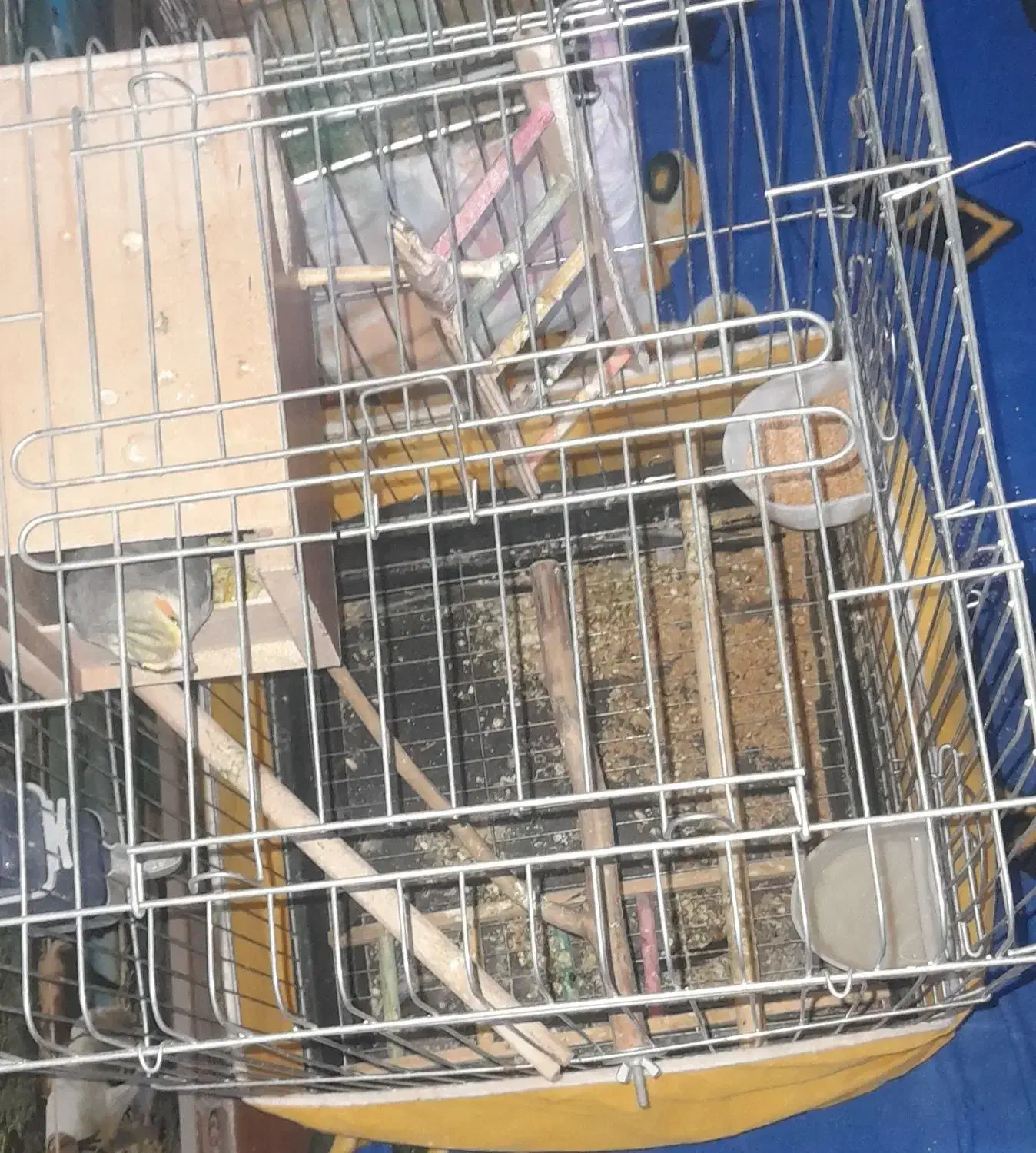 قفس پرنده|لوازم جانبی حیوانات|رباط‌کریم, الارد|دیوار