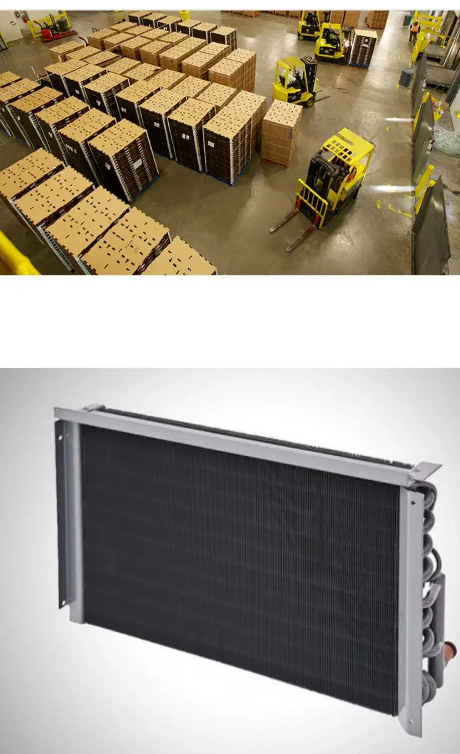 سردخانه میوه و تر بار|خدمات پیشه و مهارت|شیراز, انجیر|دیوار