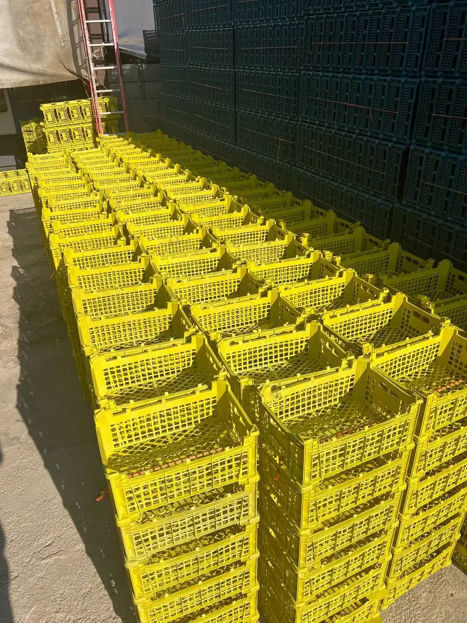 کارخانه سبدسازی|ظروف نگهدارنده، پلاستیکی، یکبارمصرف|محمدشهر, زیبادشت|دیوار