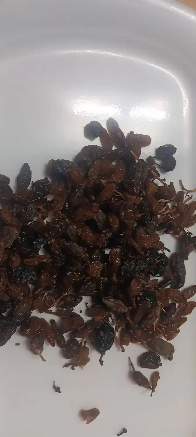 کشمش|خوردنی و آشامیدنی|نیشابور, گنبد سبز|دیوار