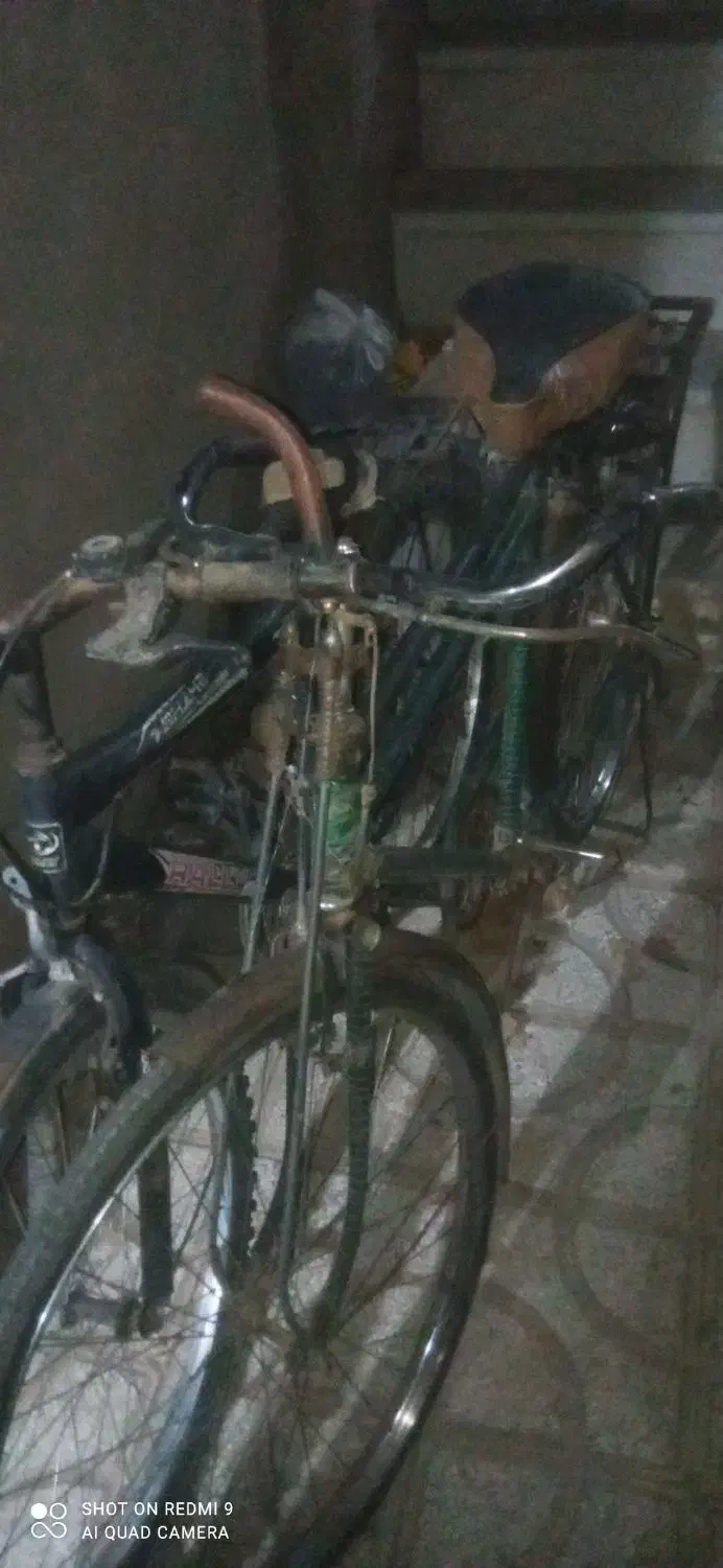 سه عدد دوچرخه به قیمت زایعات سالم|دوچرخه، اسکیت، اسکوتر|کاشمر, |دیوار