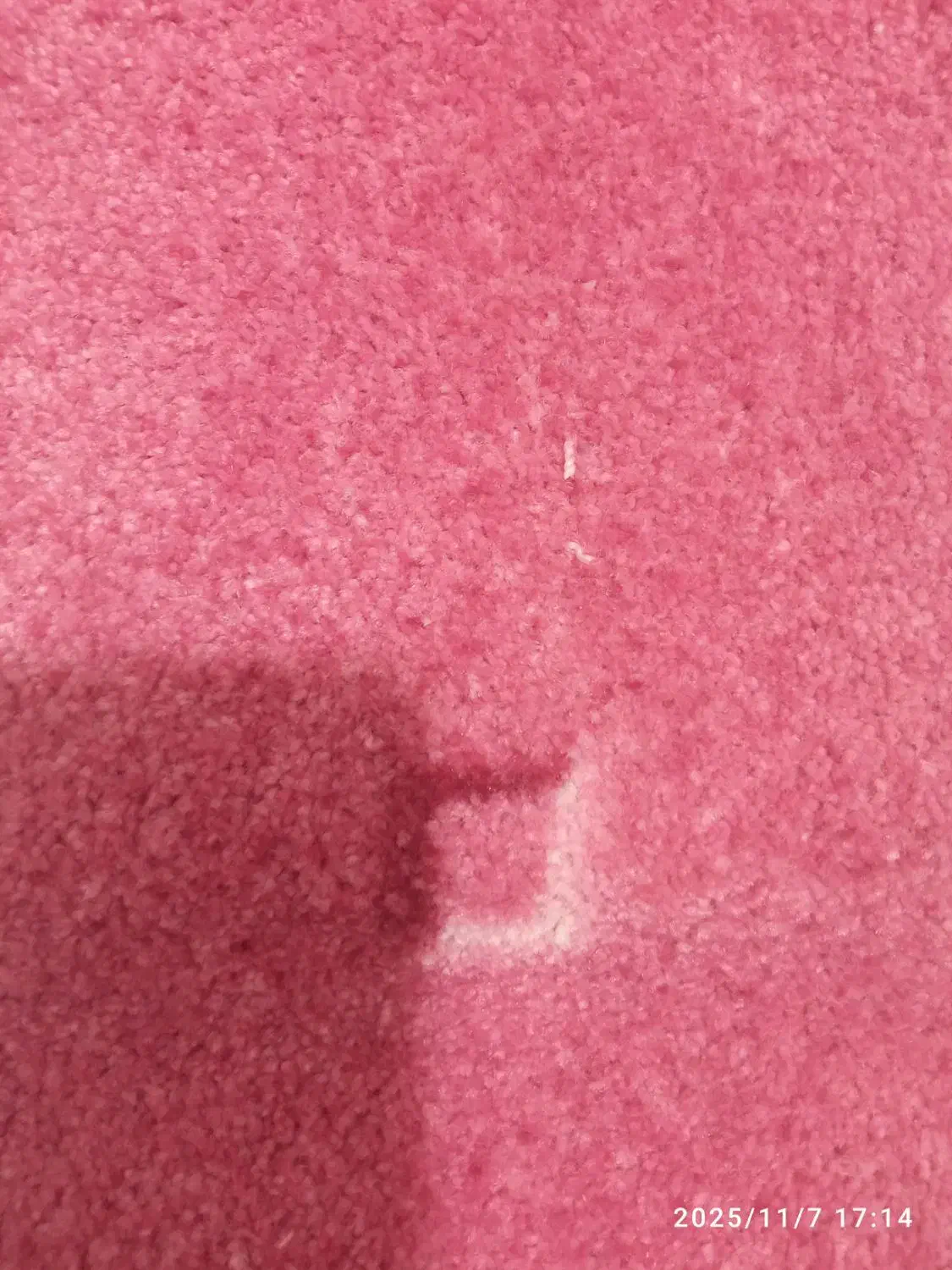 موکت ظریف مصور|موکت|سنندج, |دیوار