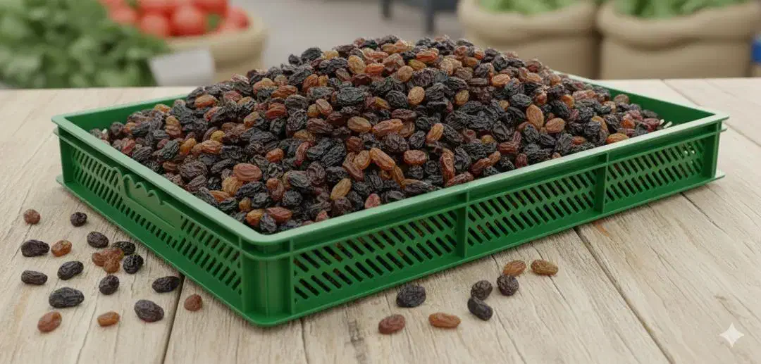 سبد ذغال،میوه خشک کنی،ماکارانی،کشمش|عمدهفروشی|چهاردانگه (تهران), |دیوار