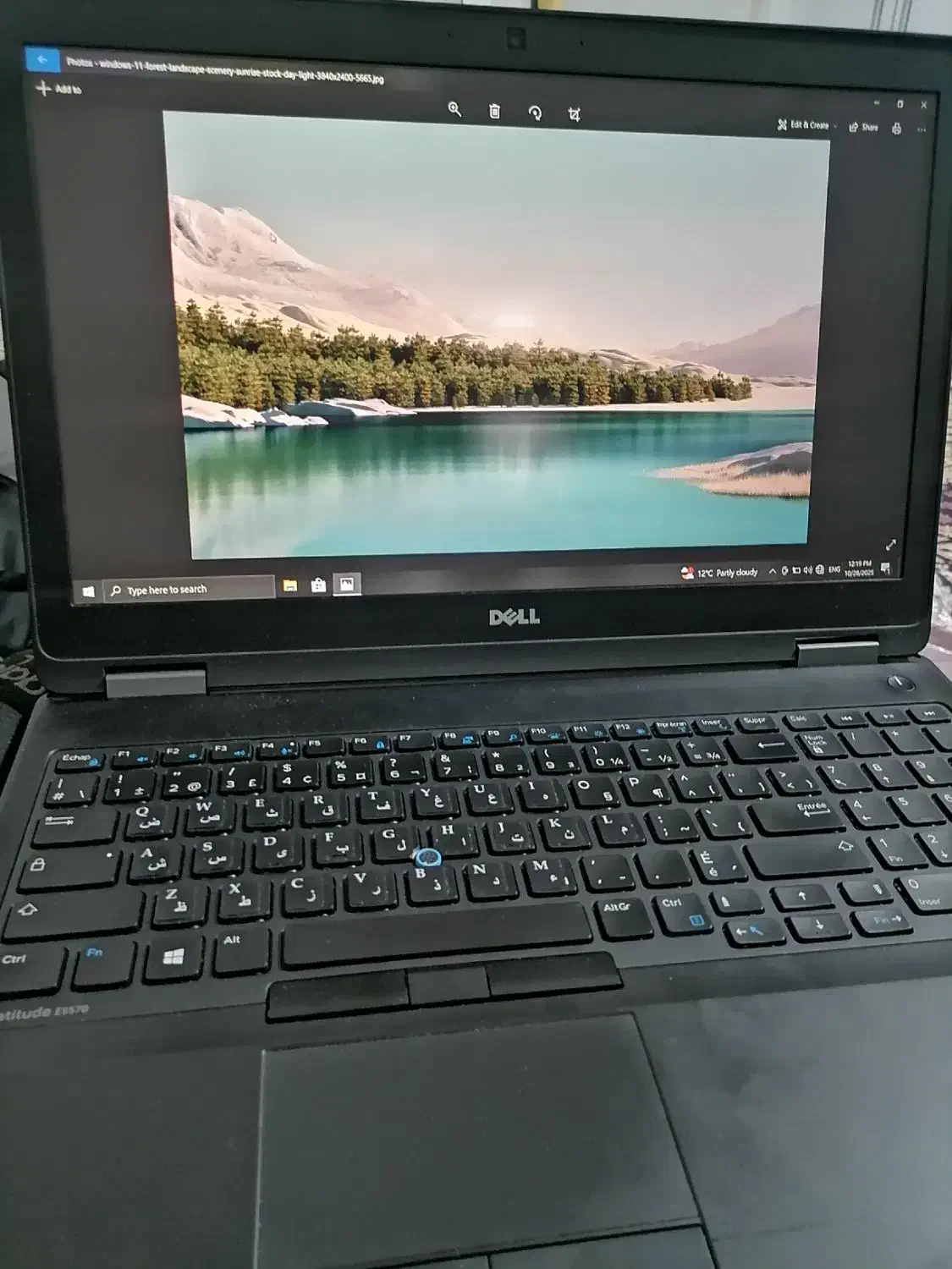 لب تاپ del|رایانه همراه|باسمنج, |دیوار