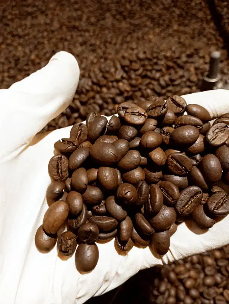 پخش قهوه/قهوه|عمده‌فروشی|تهران, صادقیه|دیوار