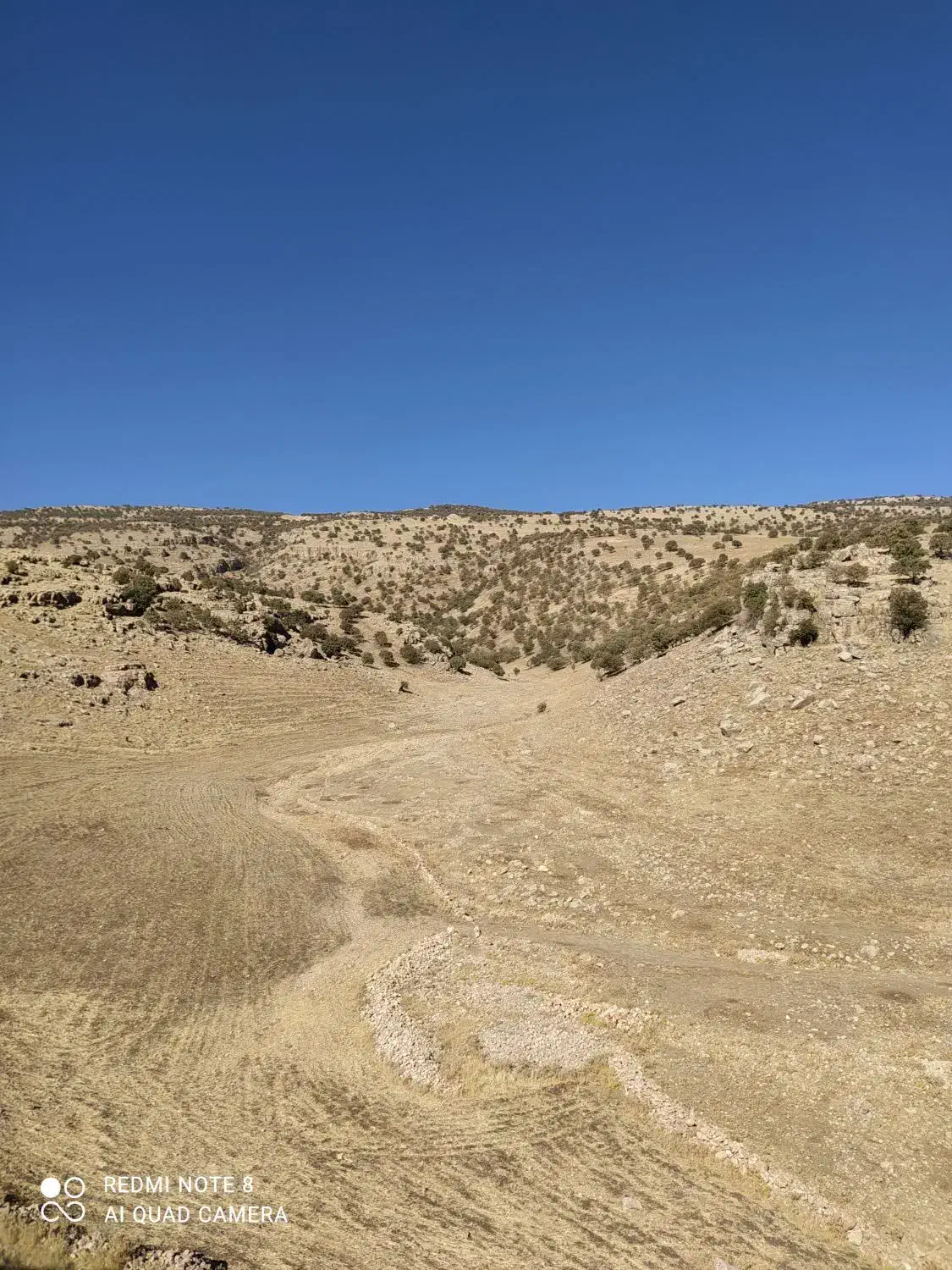 وام مهربانی صد تومانی|خدمات مالی، حسابداری، بیمه|گوآور, |دیوار