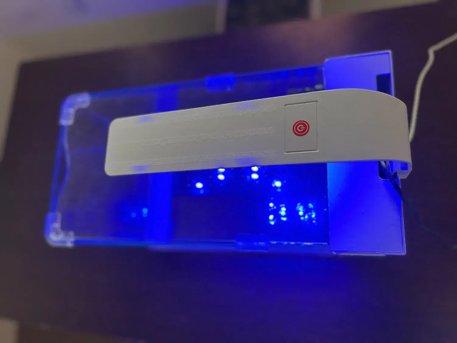 اکواریوم دلسا|ماهی|ساری, |دیوار