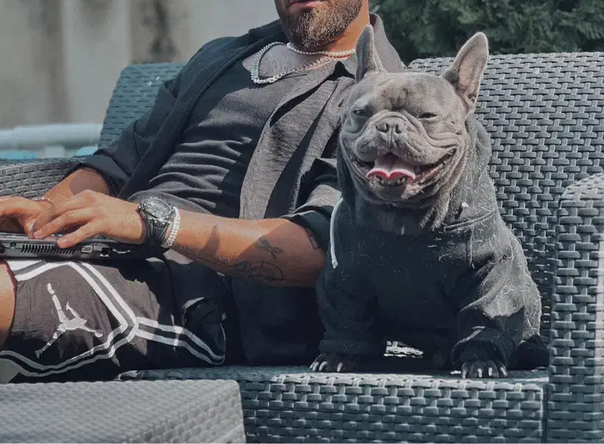 واگذاری فرنچ بولداگ ‌بلو|سگ|رشت, گلسار|دیوار