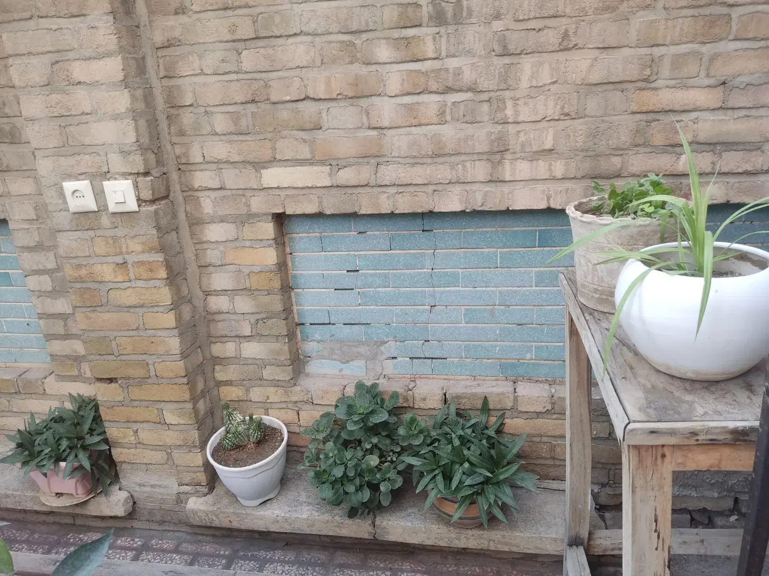 انواع گل به  قیمت مناسب|گل و گیاه طبیعی|نهاوند, |دیوار