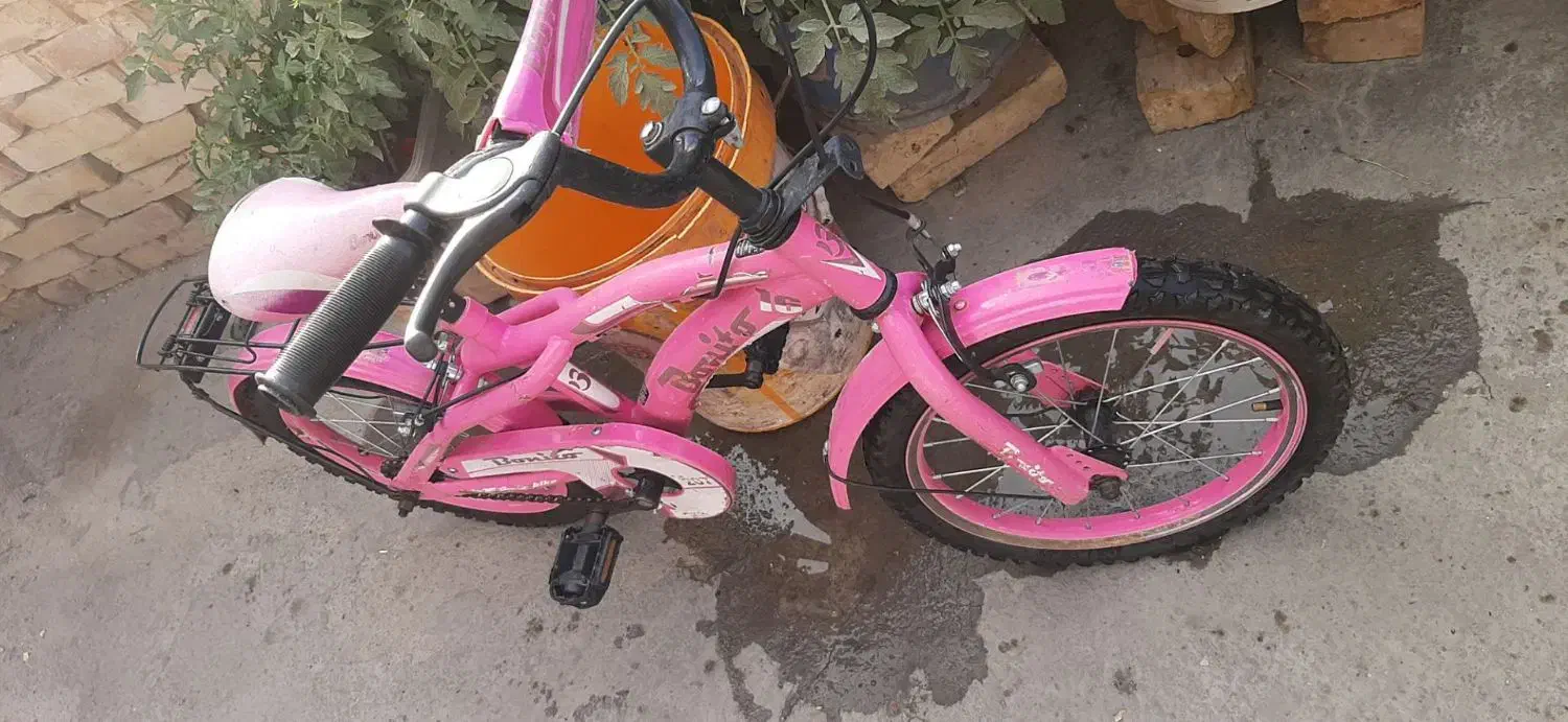 دوچرخه ۱۶ دخترانه بونیتو در حد نو|دوچرخه، اسکیت، اسکوتر|بیجار, |دیوار