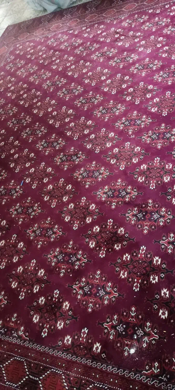 همه اجناس|سایر لوازم برقی|دلند, |دیوار